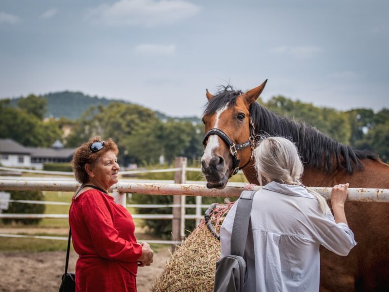 langage corporel cheval